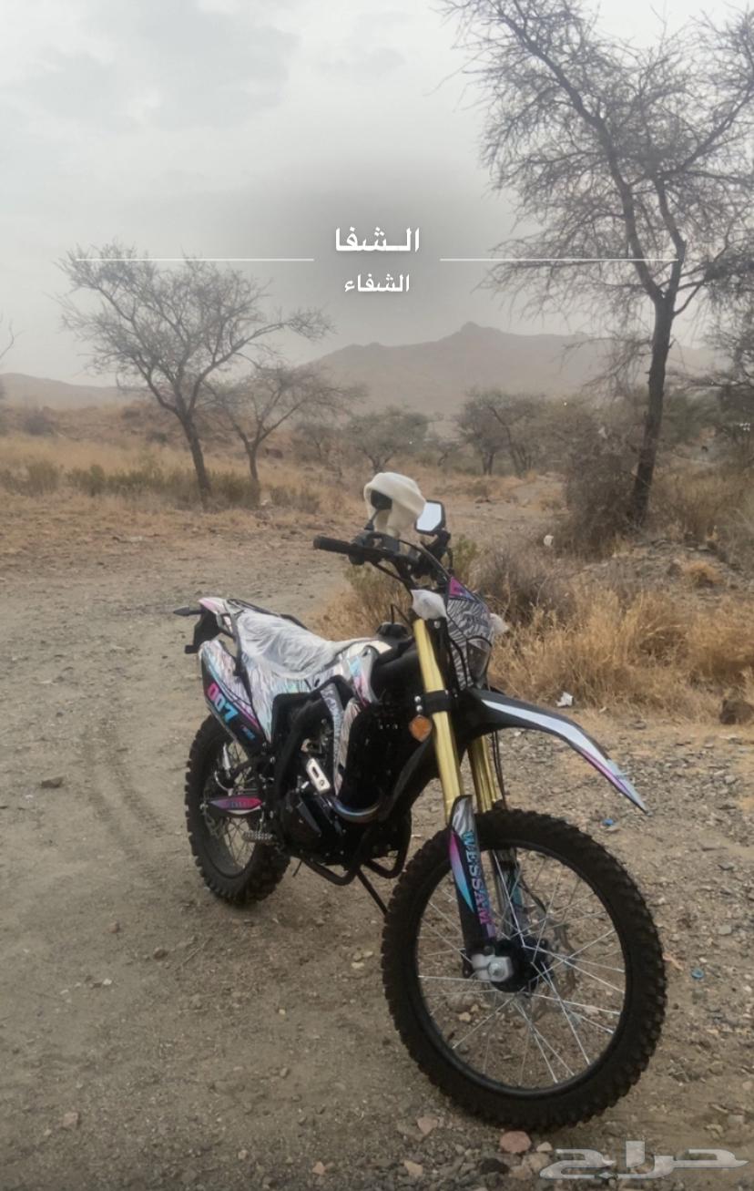 دباب صحروي64593448080897110