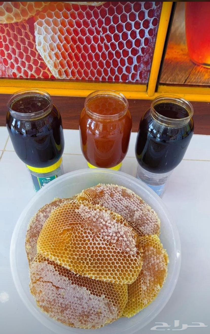 عسل بلدي64439486520323110