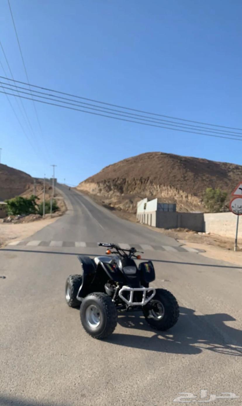 دباب سويدي للبيع مقاس 11064598474450945110