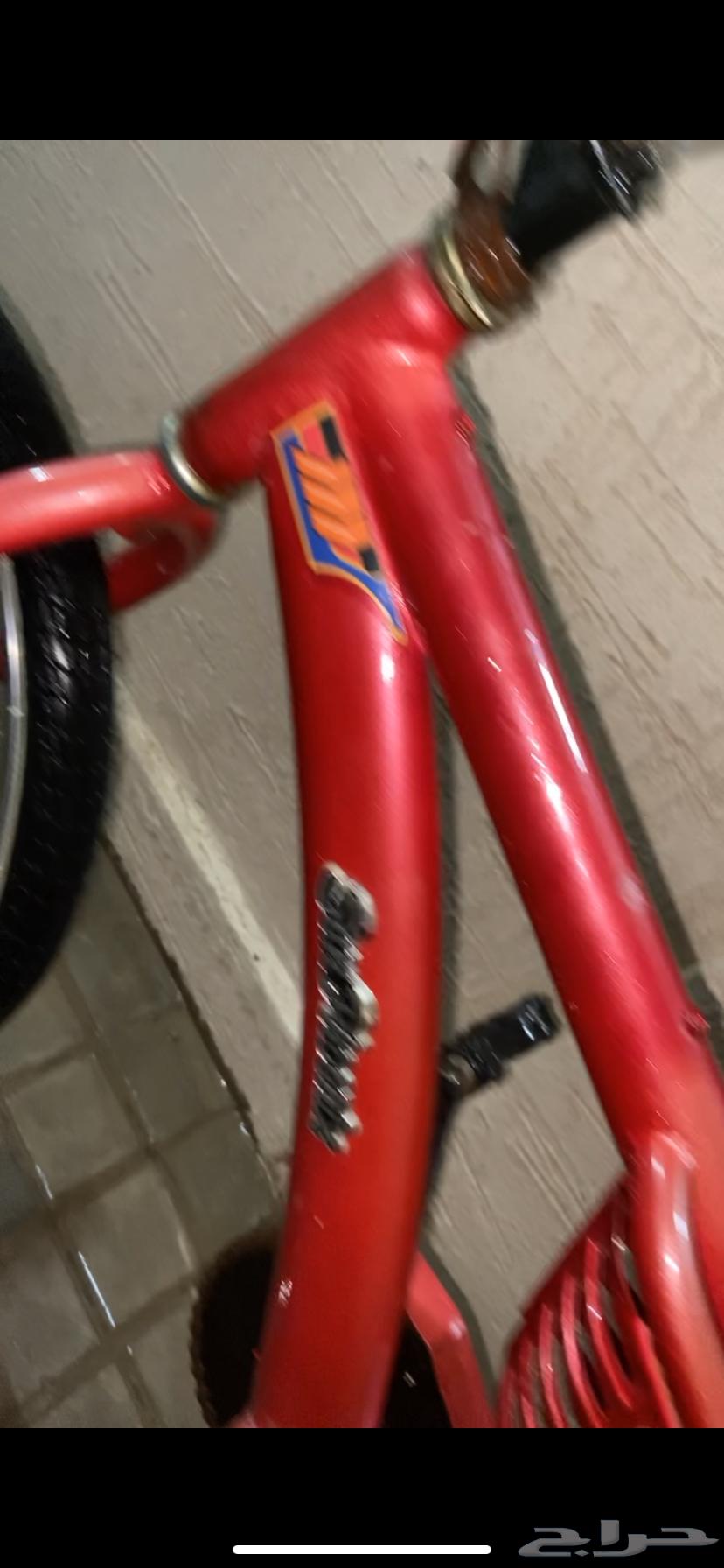 سيكل رامبو عنابي اندنوسي 250 لا يجي الا الصامل64437962011395114