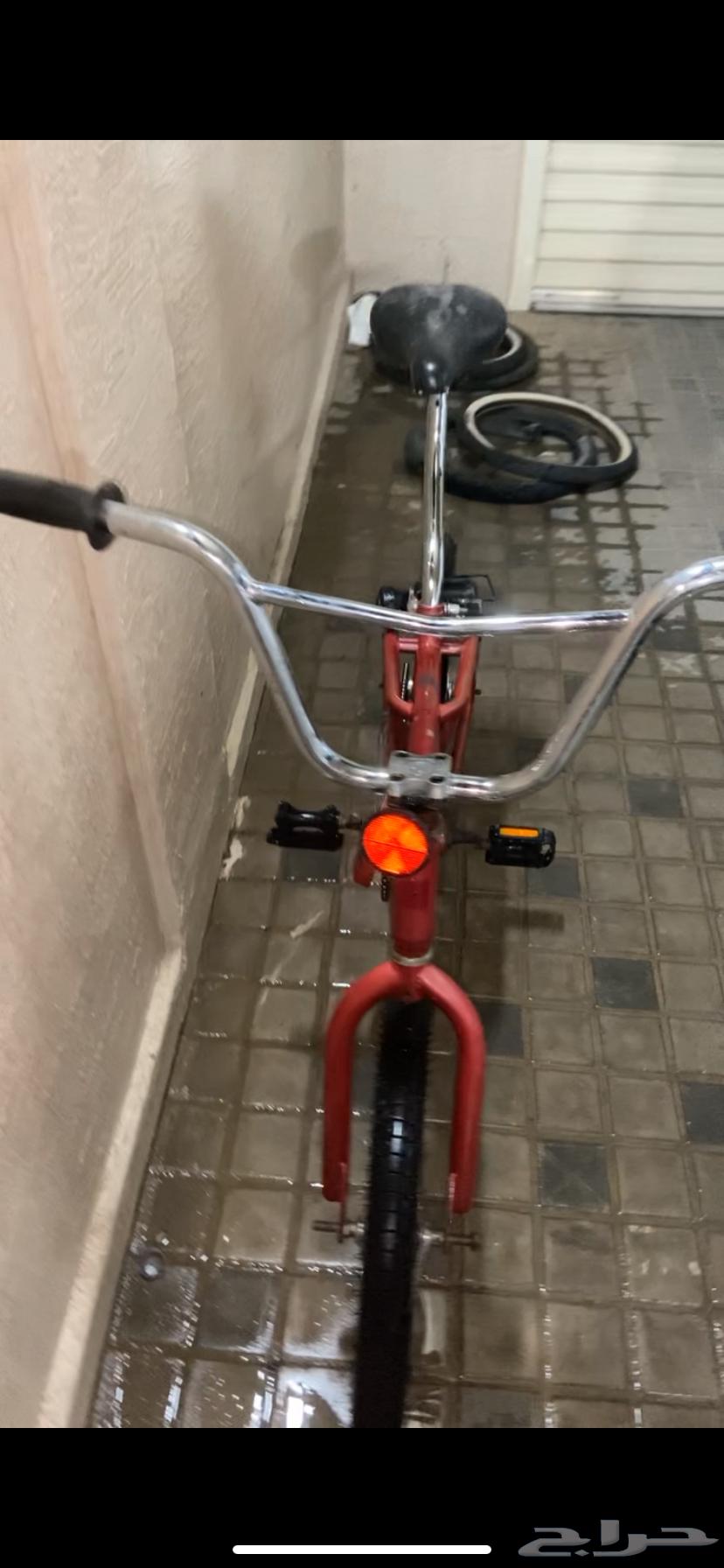 سيكل رامبو عنابي اندنوسي 250 لا يجي الا الصامل64437962011395110