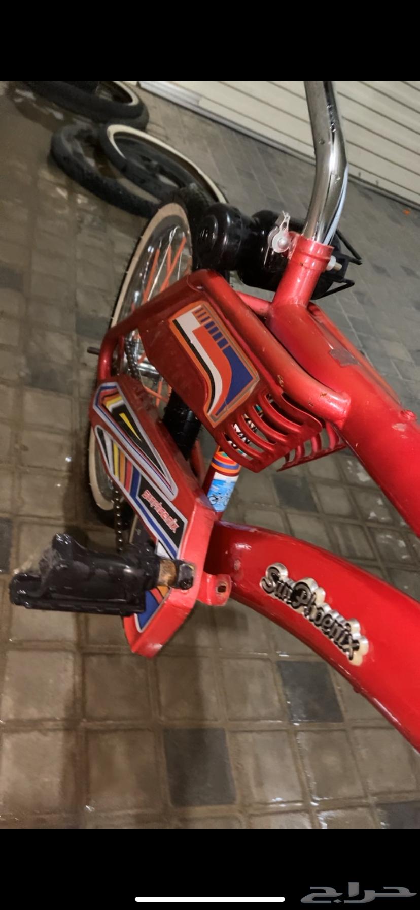 سيكل رامبو عنابي اندنوسي 250 لا يجي الا الصامل64437962011395112