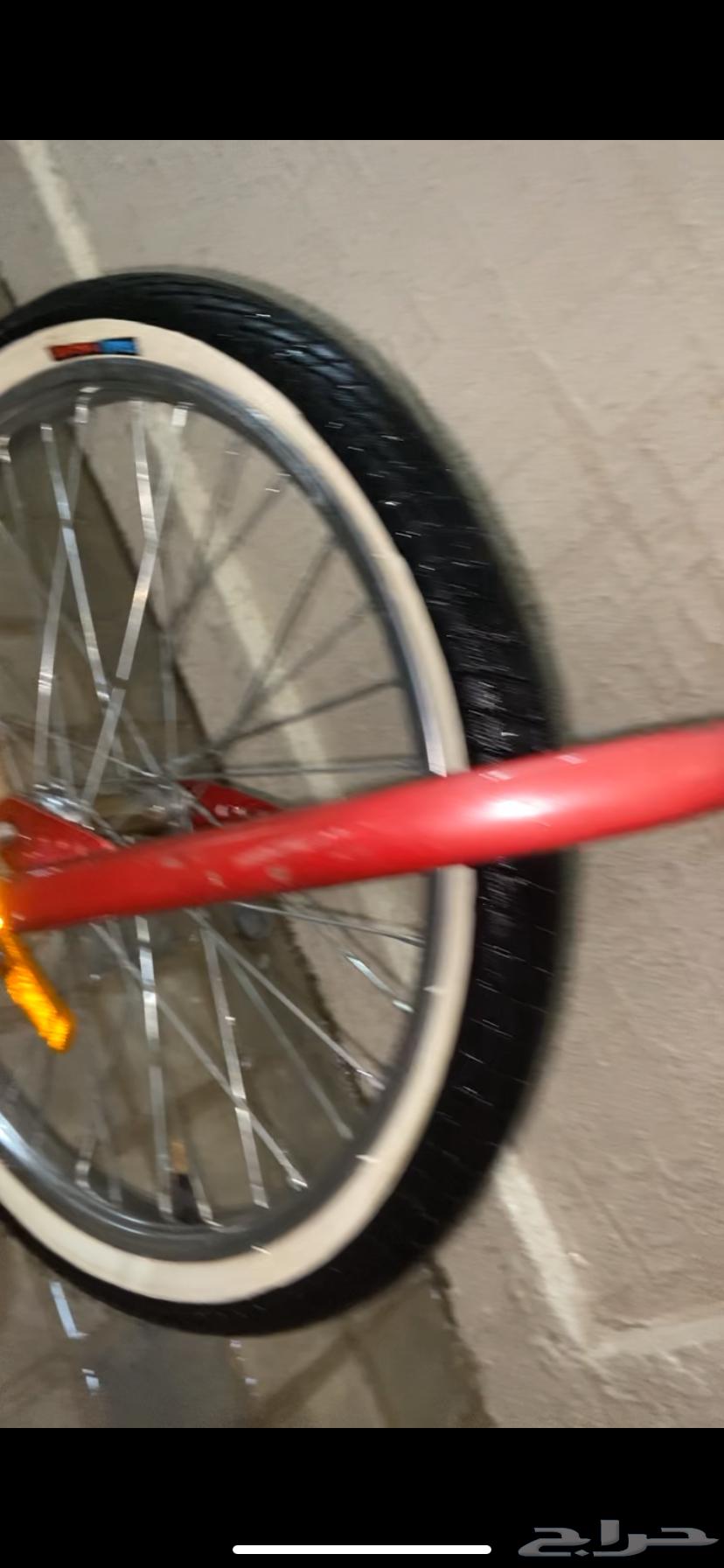 سيكل رامبو عنابي اندنوسي 250 لا يجي الا الصامل64437962011395113