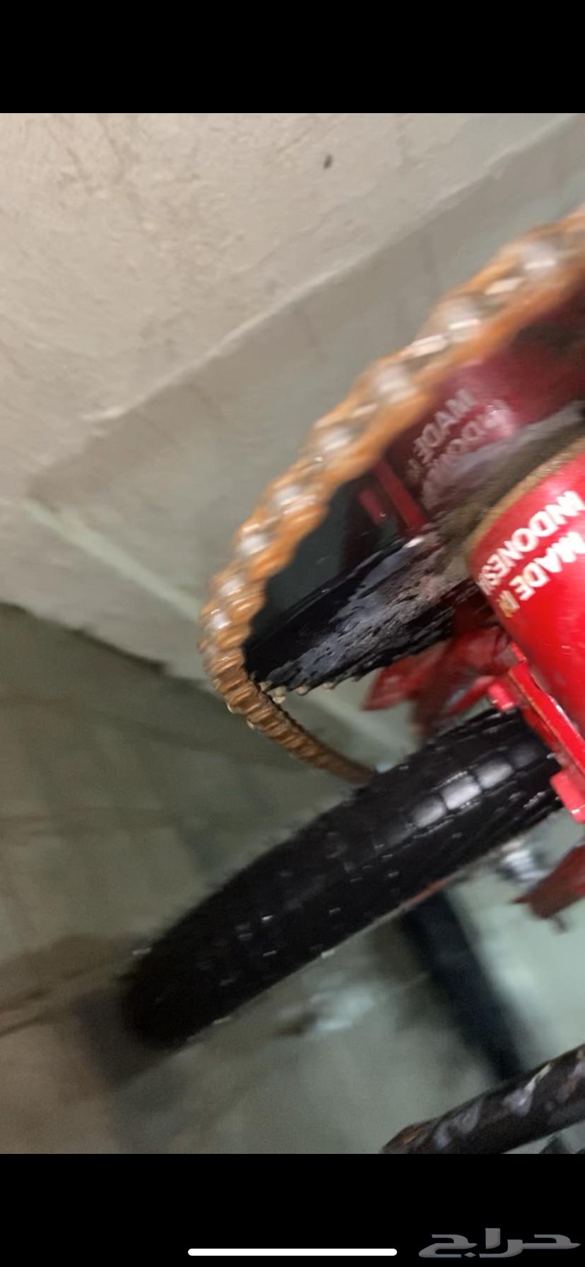 سيكل رامبو عنابي اندنوسي 250 لا يجي الا الصامل64437962011395111