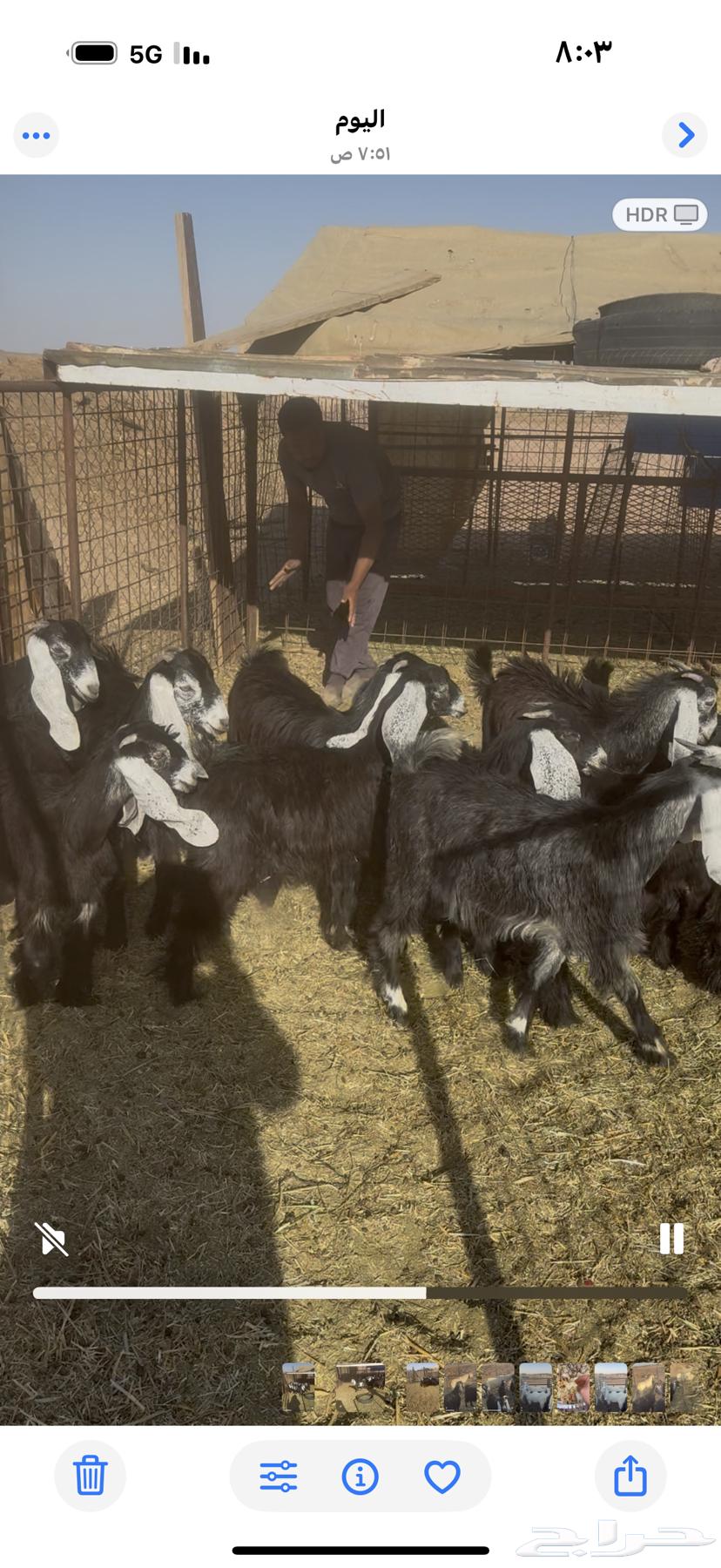 Jefrat. Defects64437854487299111