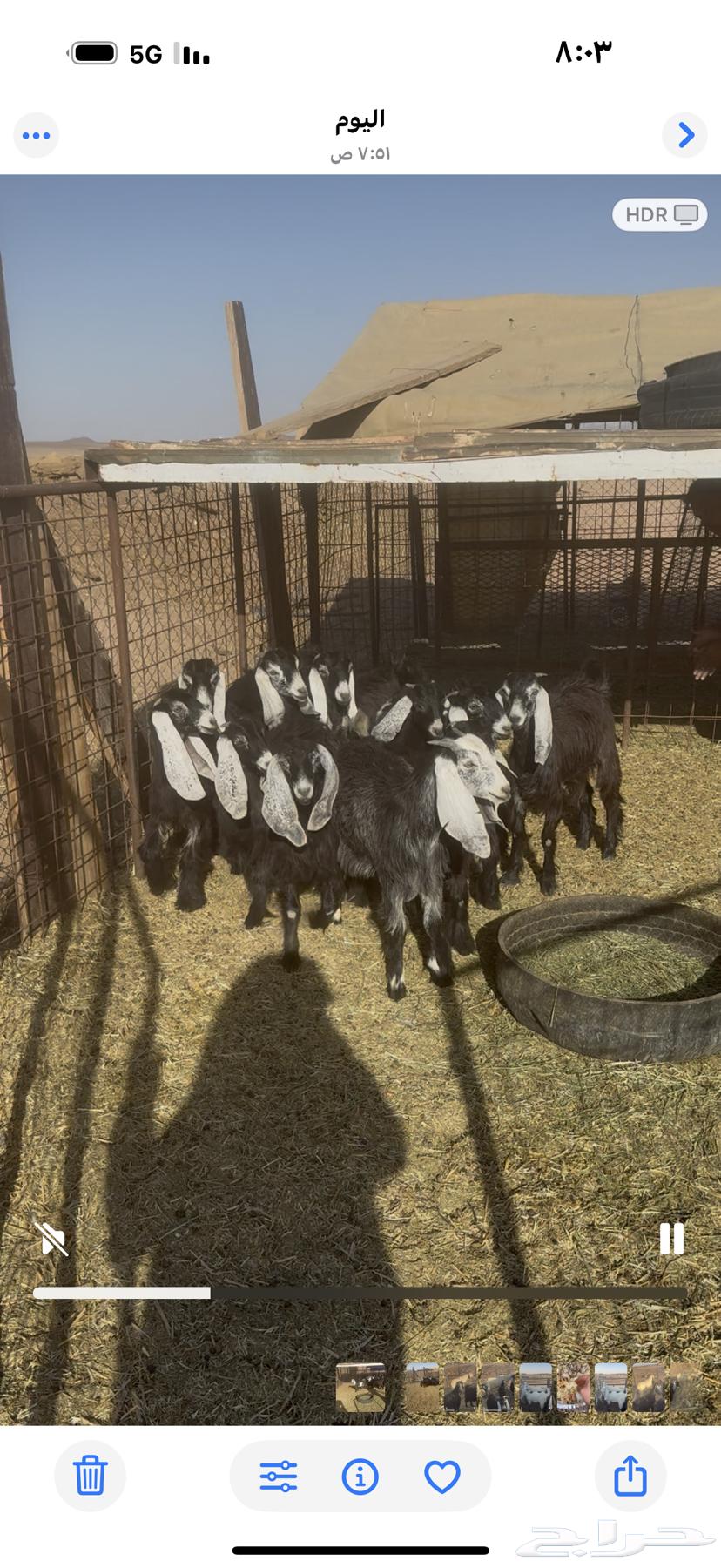 Jefrat. Defects64437854487299110