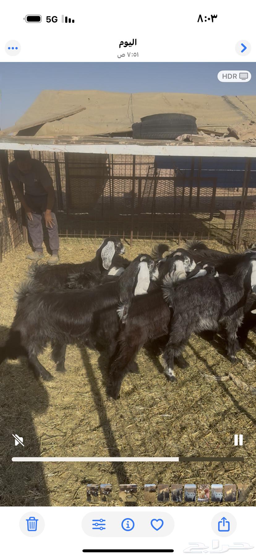 Jefrat. Defects64437854487299112