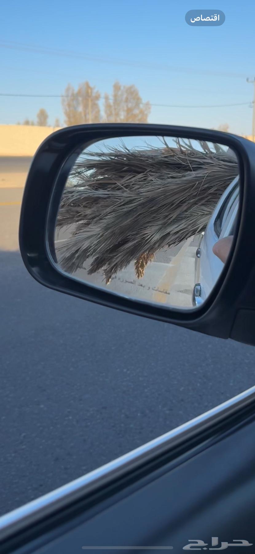 عسيف نخل .جريد نخل للبيع64428214912770112