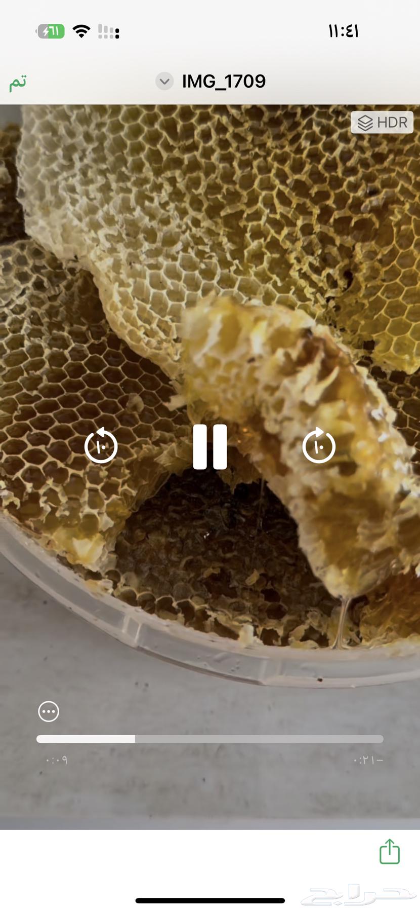 عسل وشمع في الخبر64436051641474110