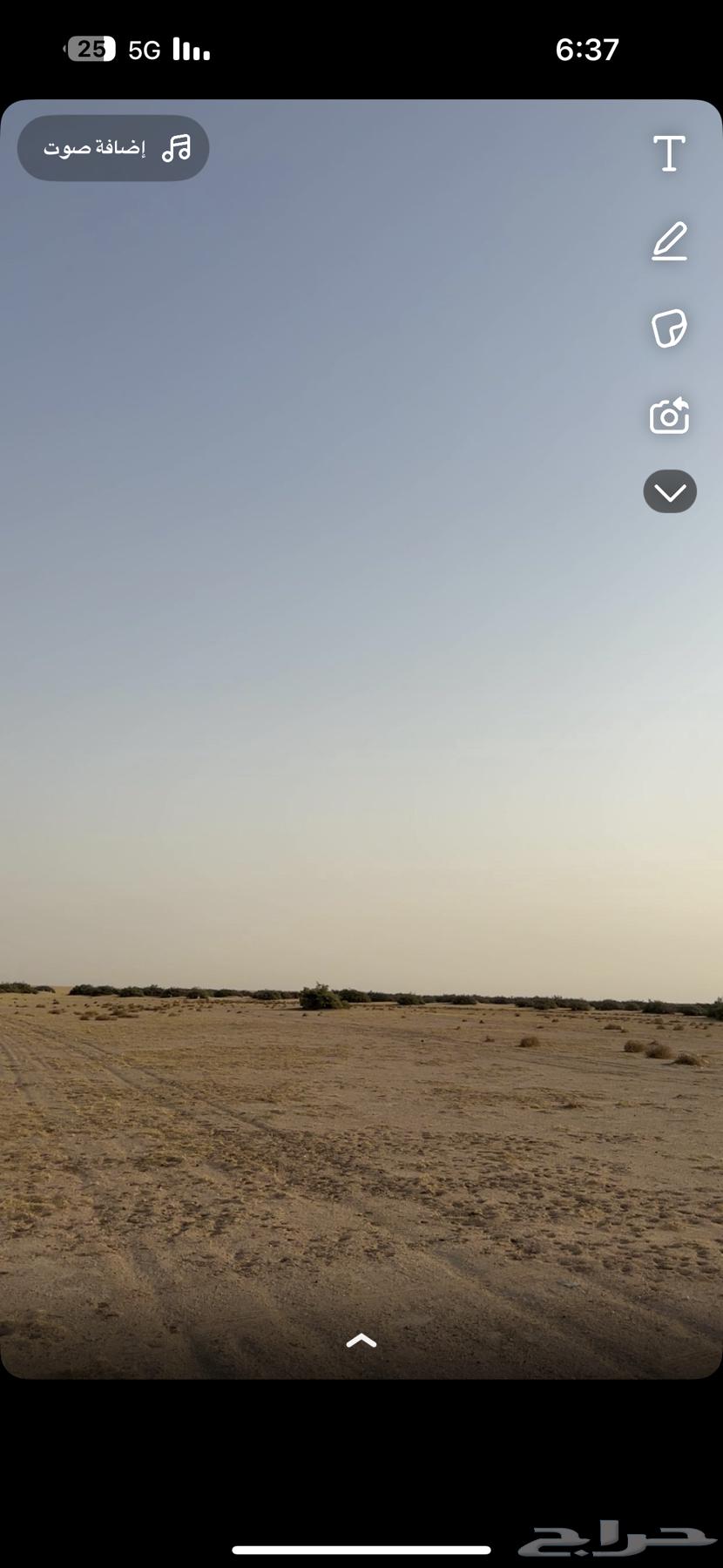 موسم سدر الفياض البري بتاريخ 202564434932012289110