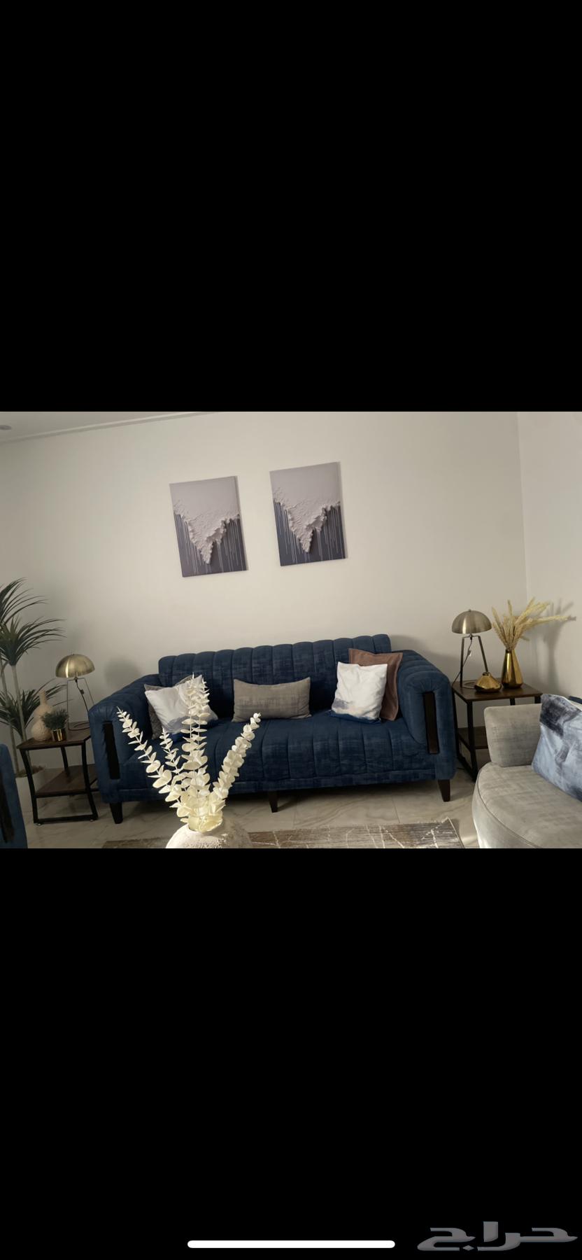 كنب و مدخل و غسالة اوتوماتيك64438861132929111