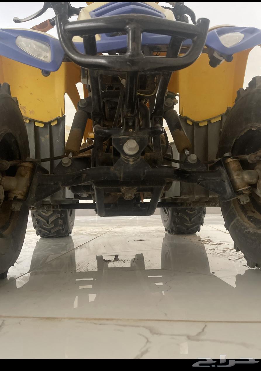 دباب تايقر للبيع لا اقبل البدل64594430377473114