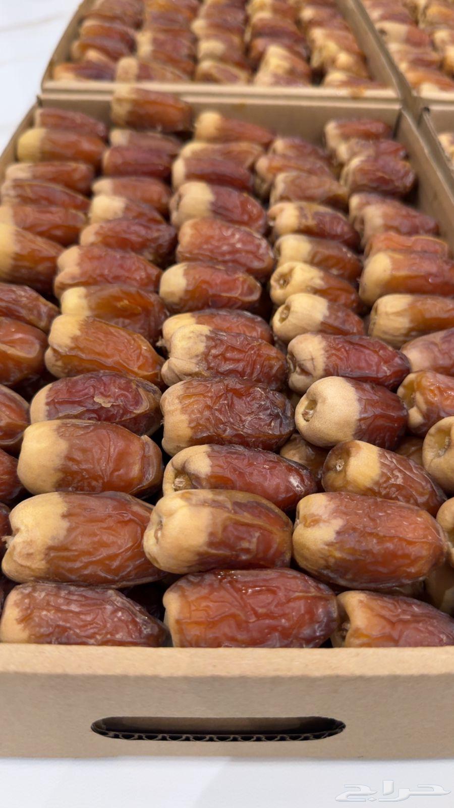 Luxury Saqie Dates for Sale, Large Jumbo Pieces at a Price Lower Than Market64441718650243111