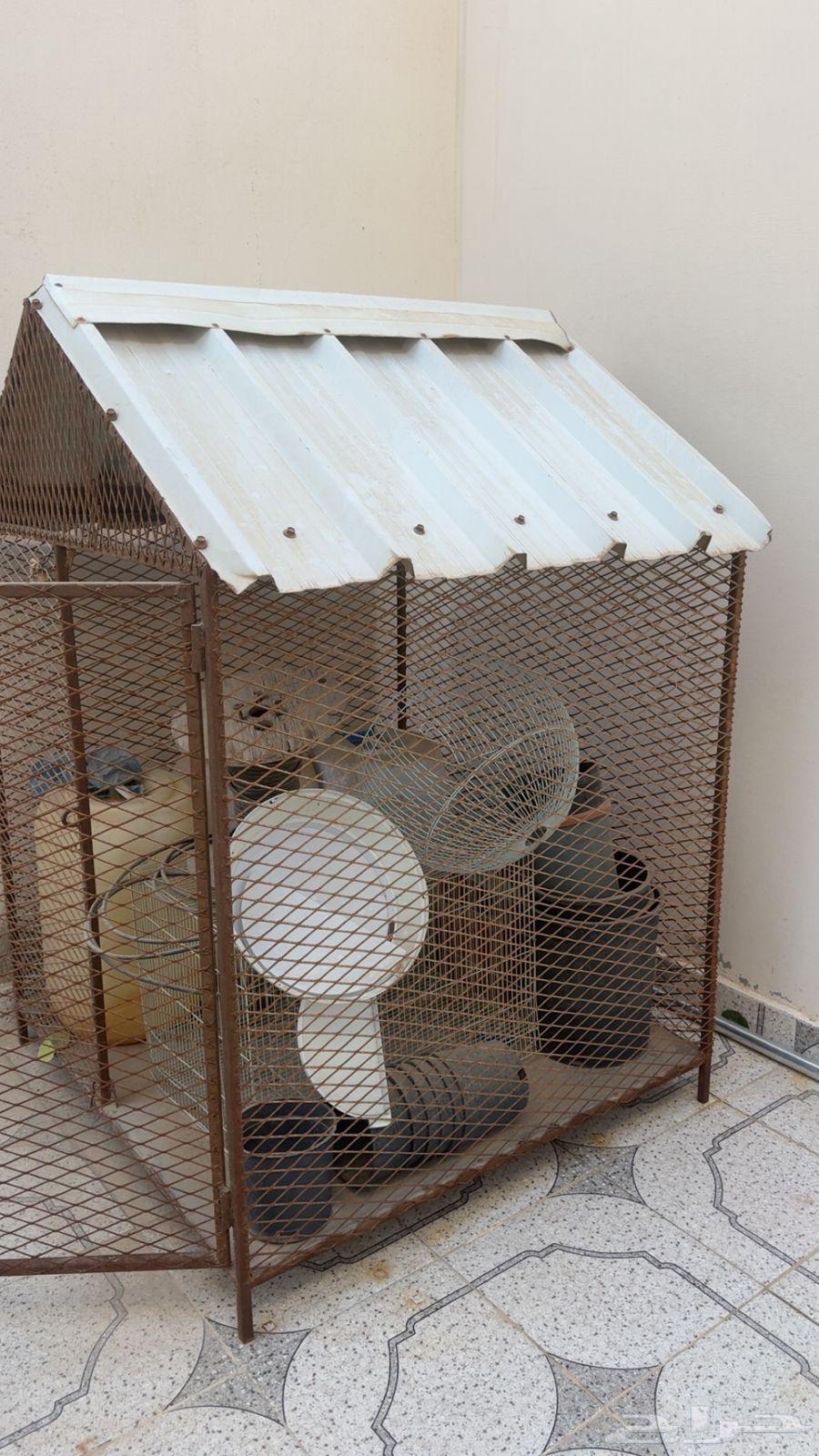 شبك جديد سللليم مافيه شي64437328685827111