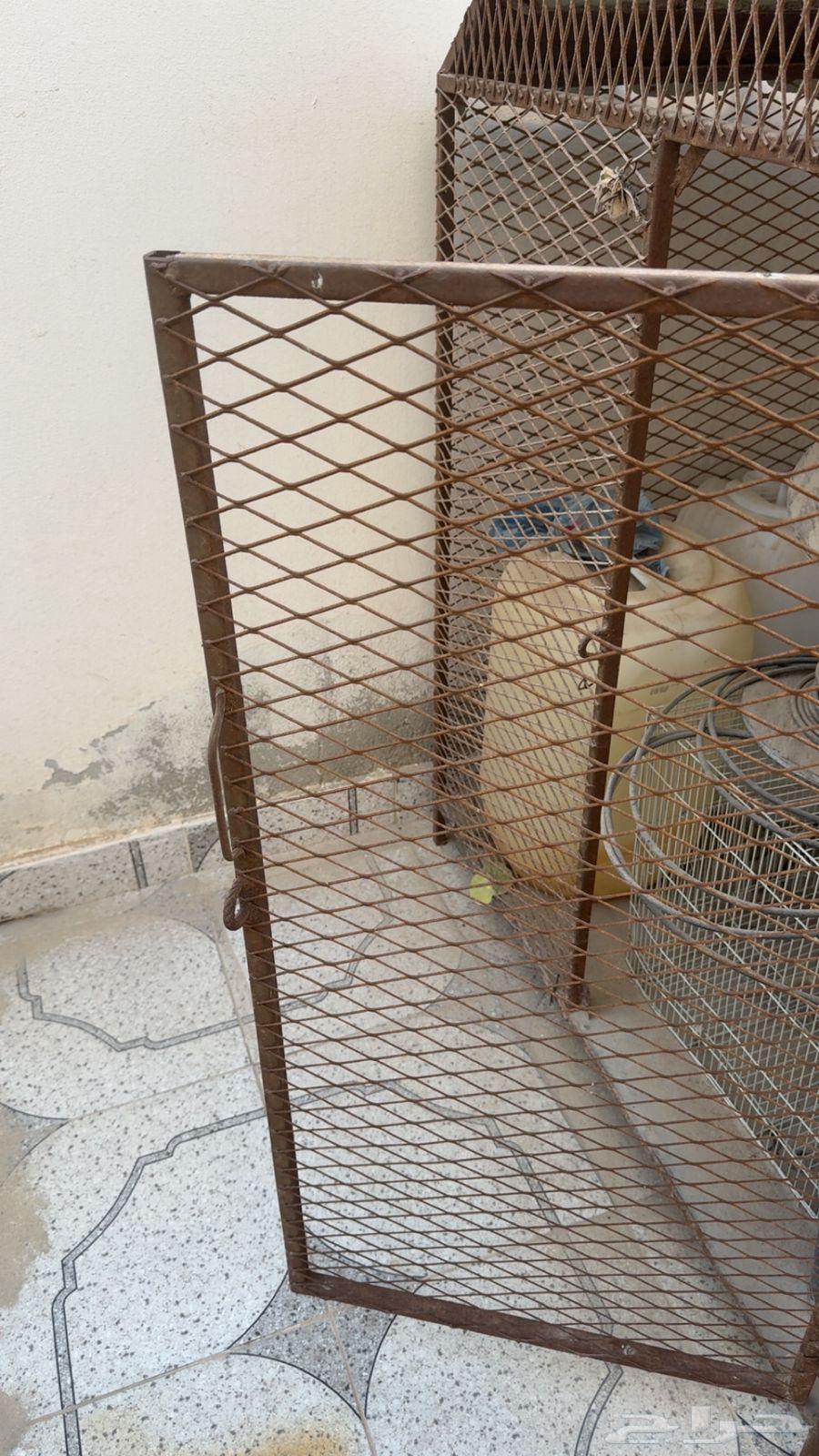 شبك جديد سللليم مافيه شي64437328685827110