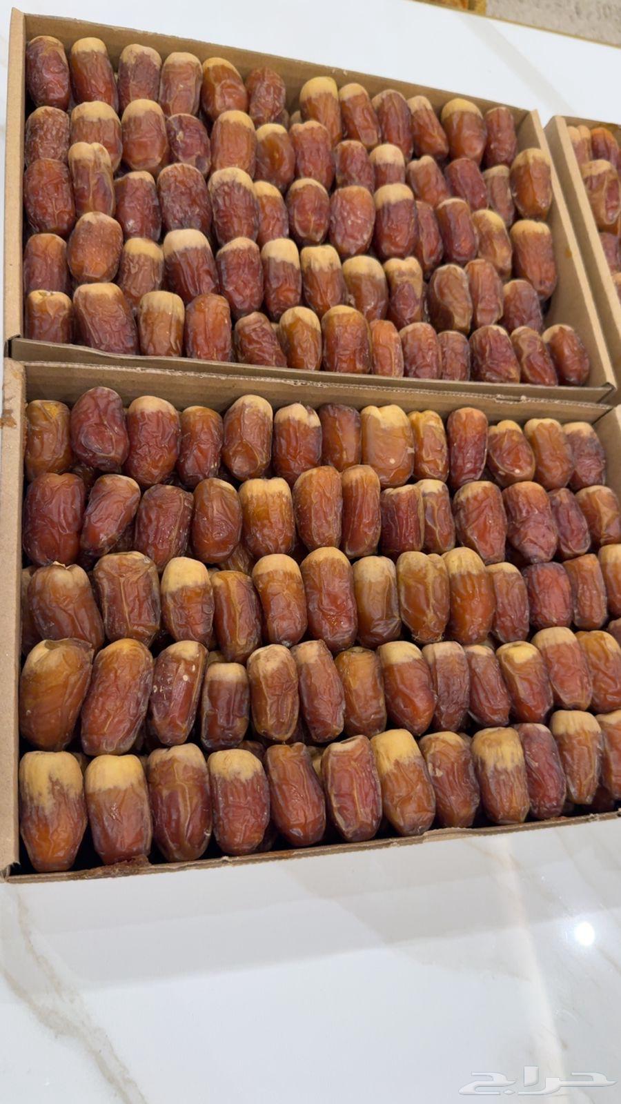 Luxury Saqie Dates for Sale, Large Jumbo Pieces at a Price Lower Than Market64441718650243110