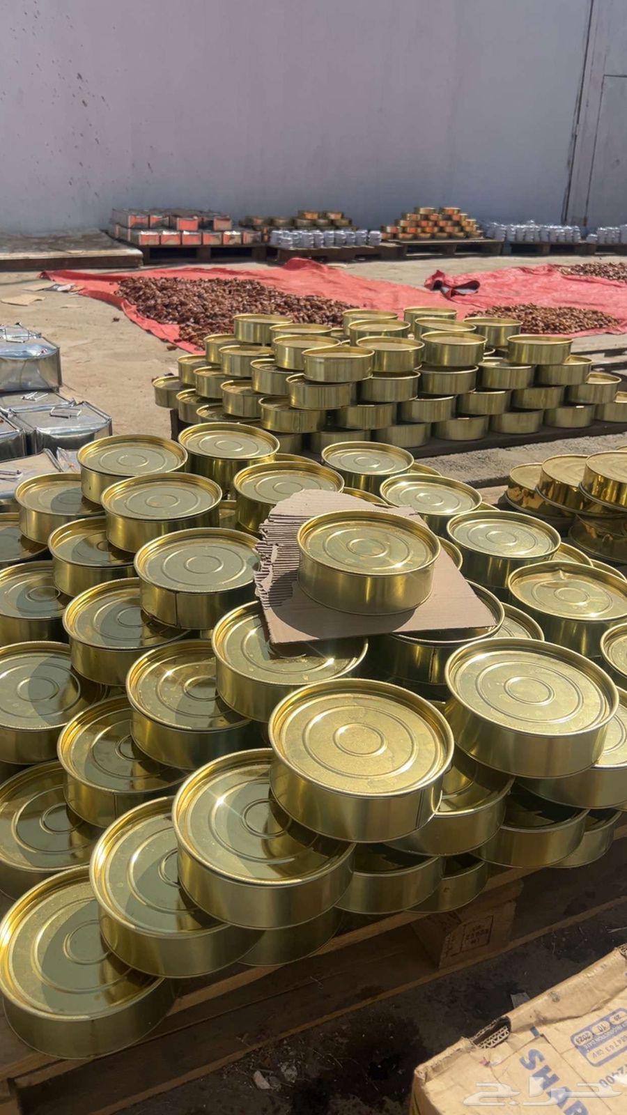 تمر صفري بيشة حبه كبير64440042861569111