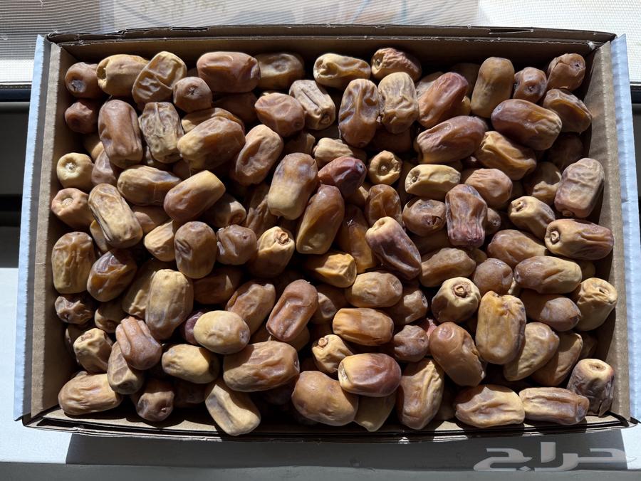 تمر رشودية فاخر   25 ريال للكرتون64436453768321110