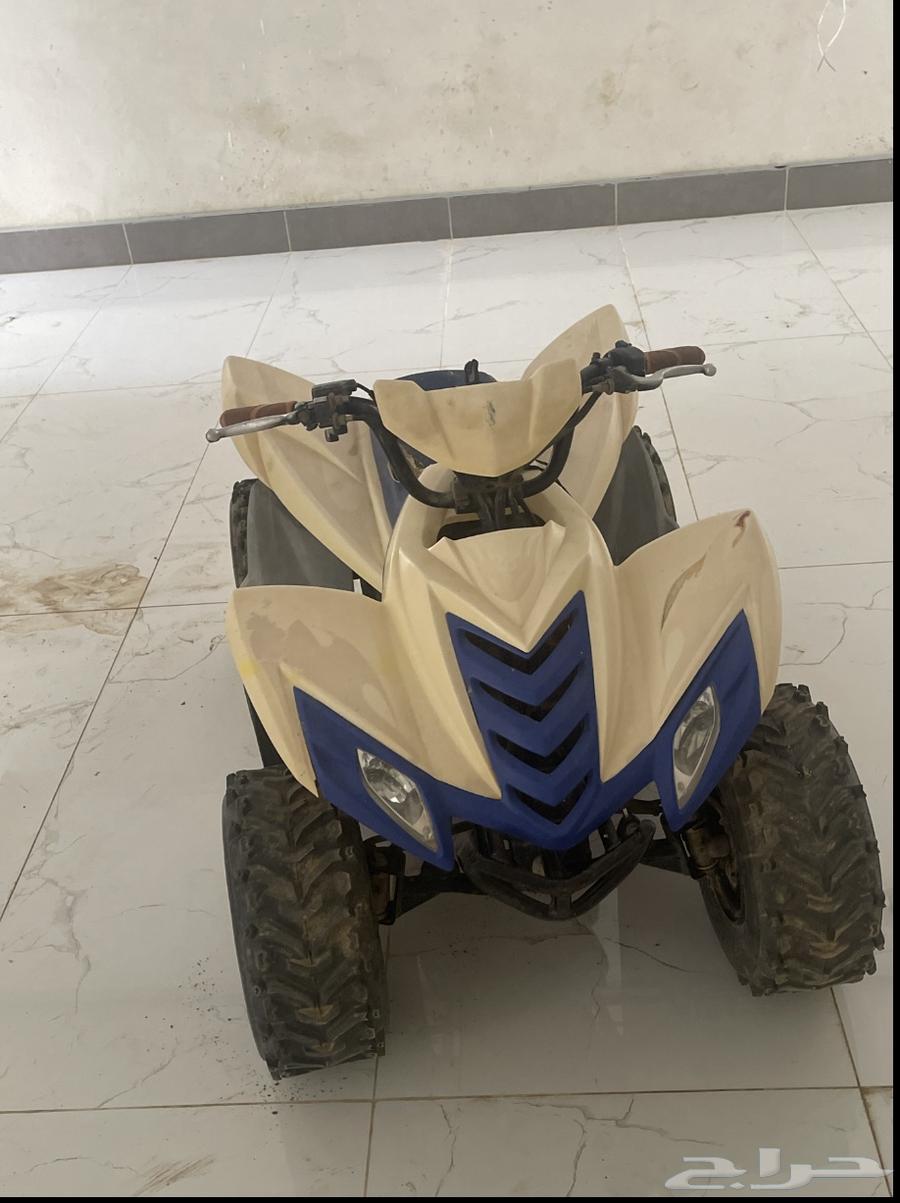 دباب تايقر للبيع لا اقبل البدل64594430377473110