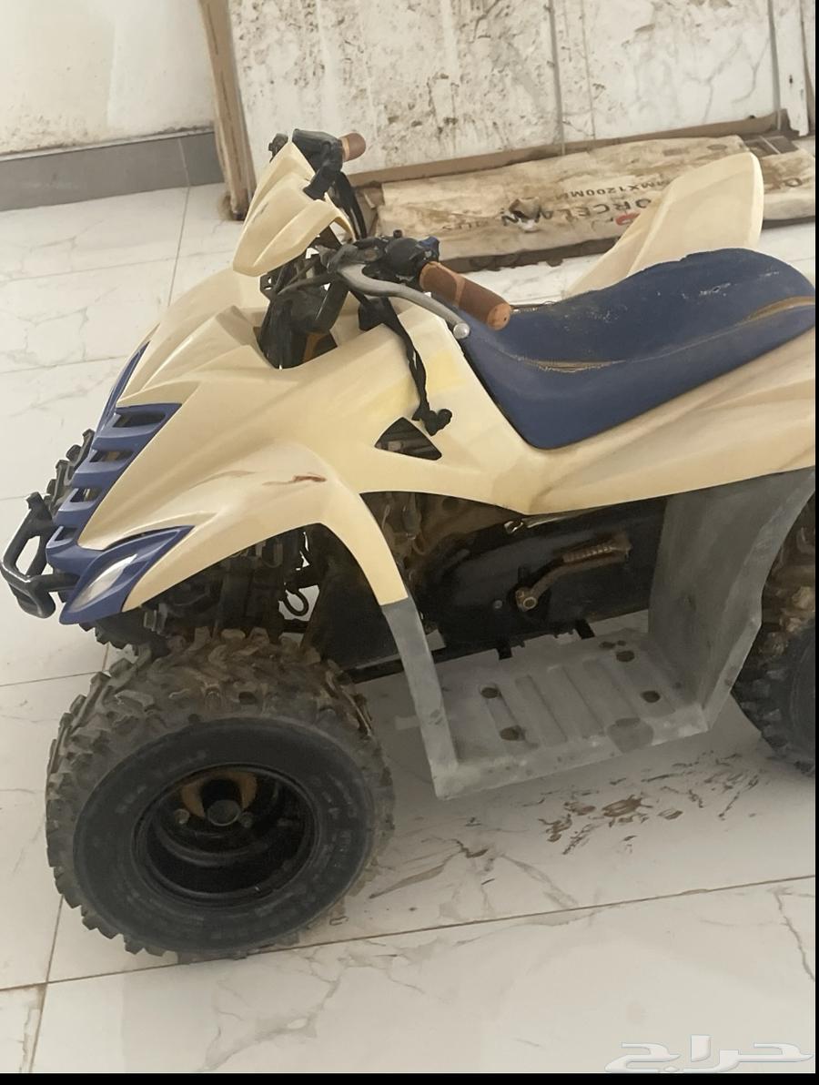 دباب تايقر للبيع لا اقبل البدل64594430377473111