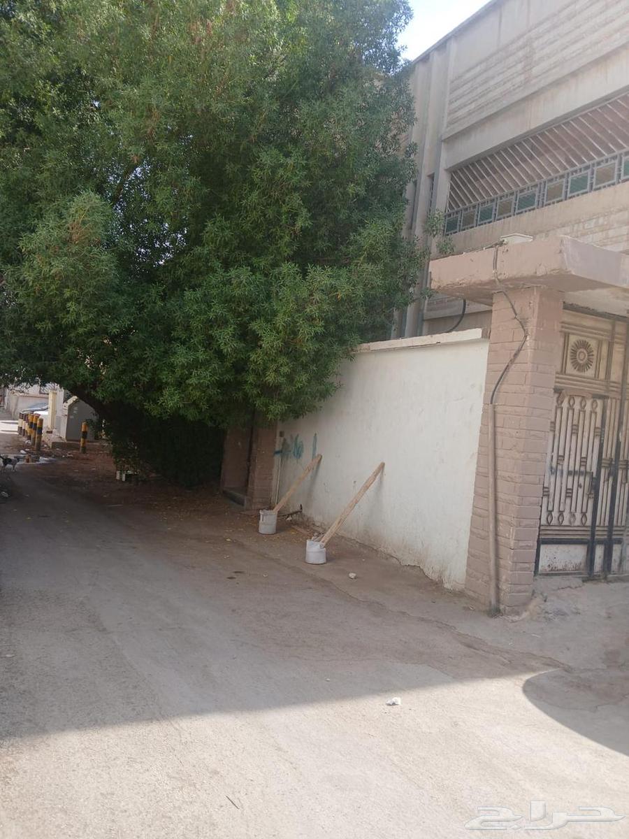 عمارة للبيع