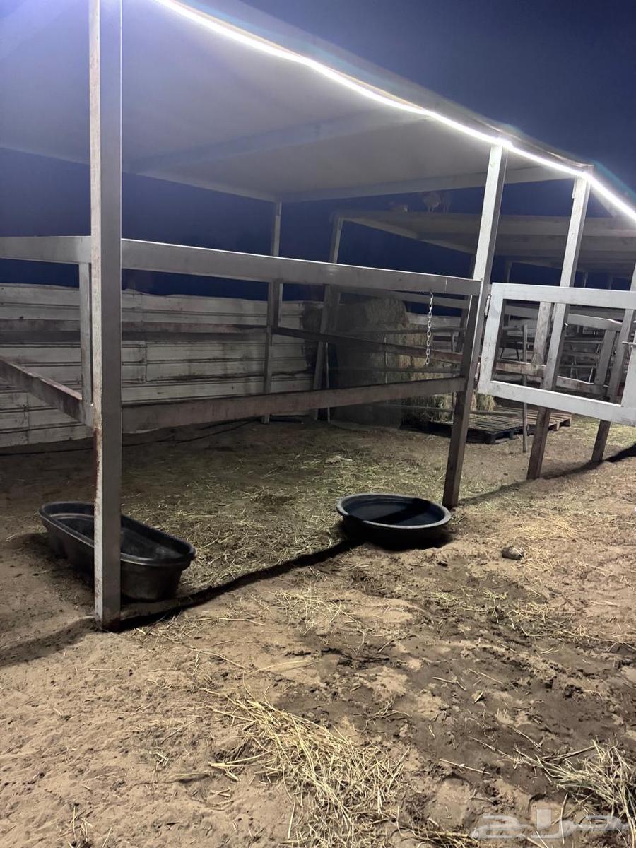 غرف متنقله للخيول والابل64437786768641112