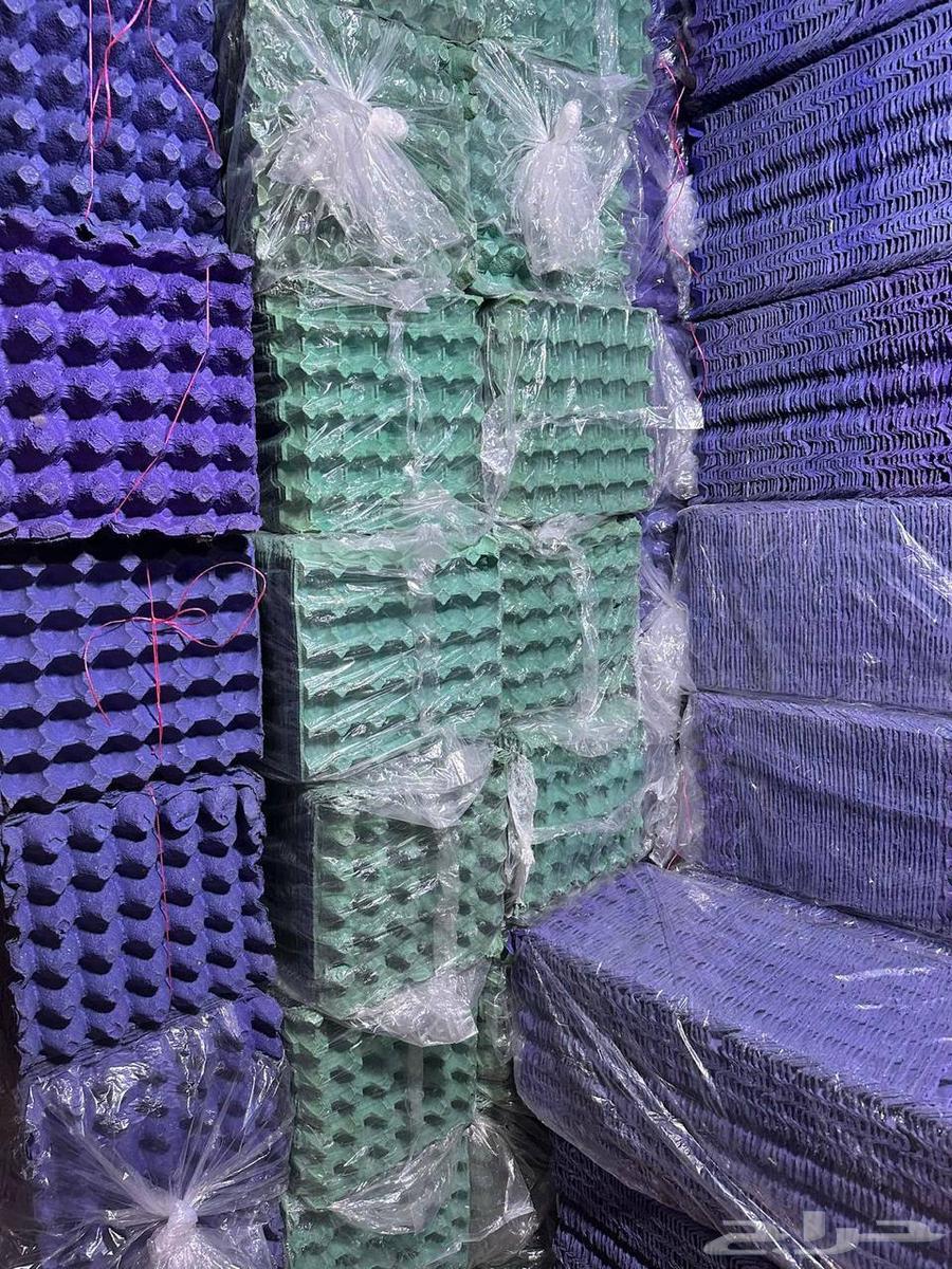 يتوفر اطباق بيض نظيفة جدا64439904231810110