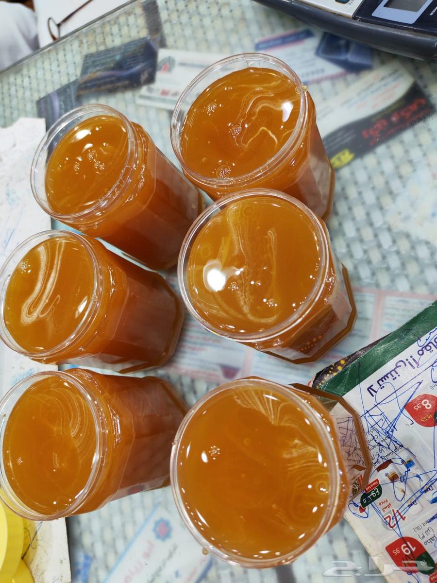 سدر ملكي يمني درجه اولى64435327196545111