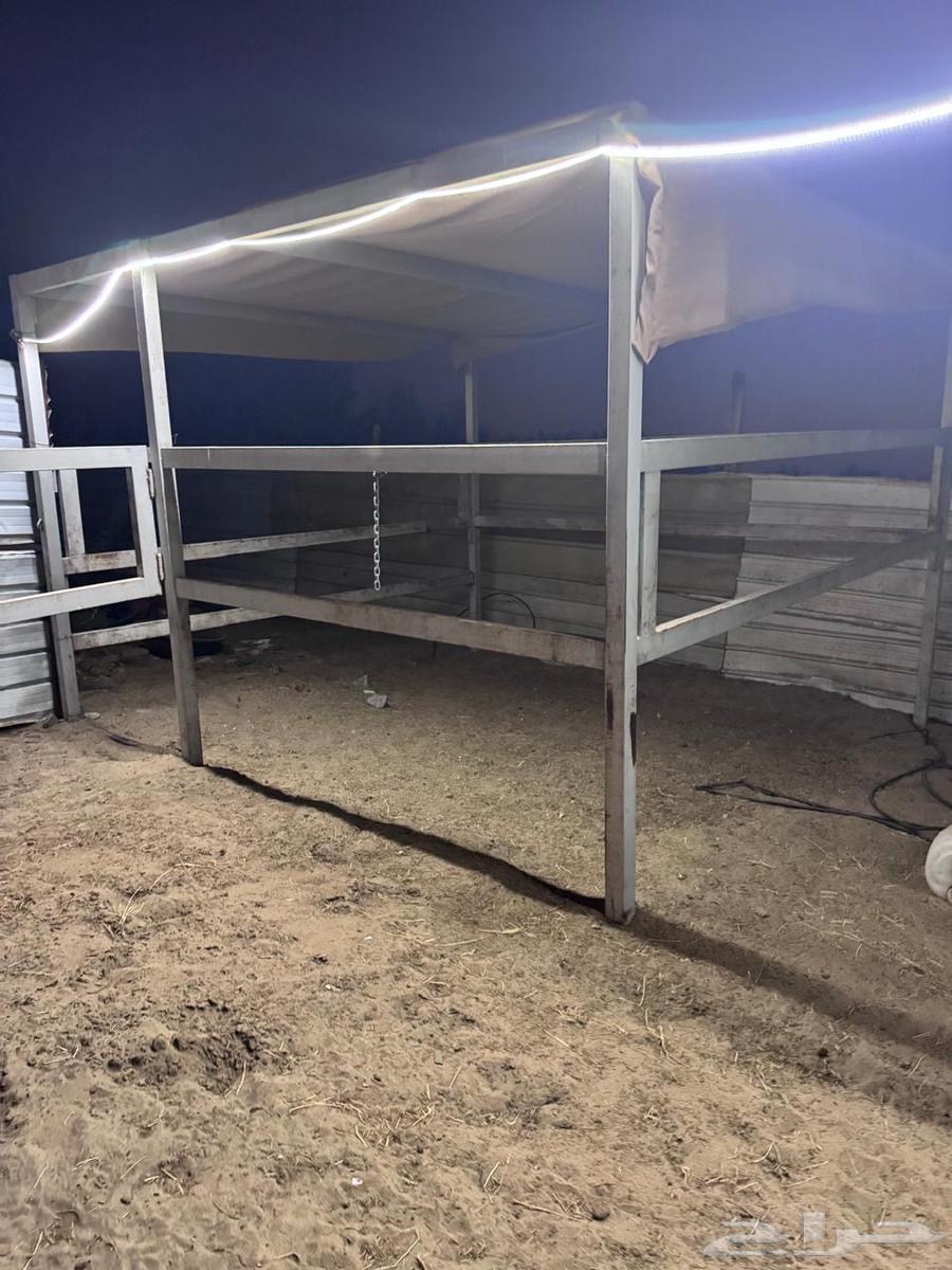 غرف متنقله للخيول والابل64437786768641113