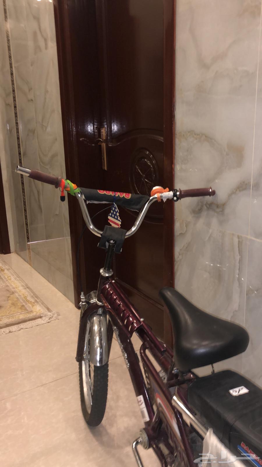 سيكل رامبو عنابي64443047455362111