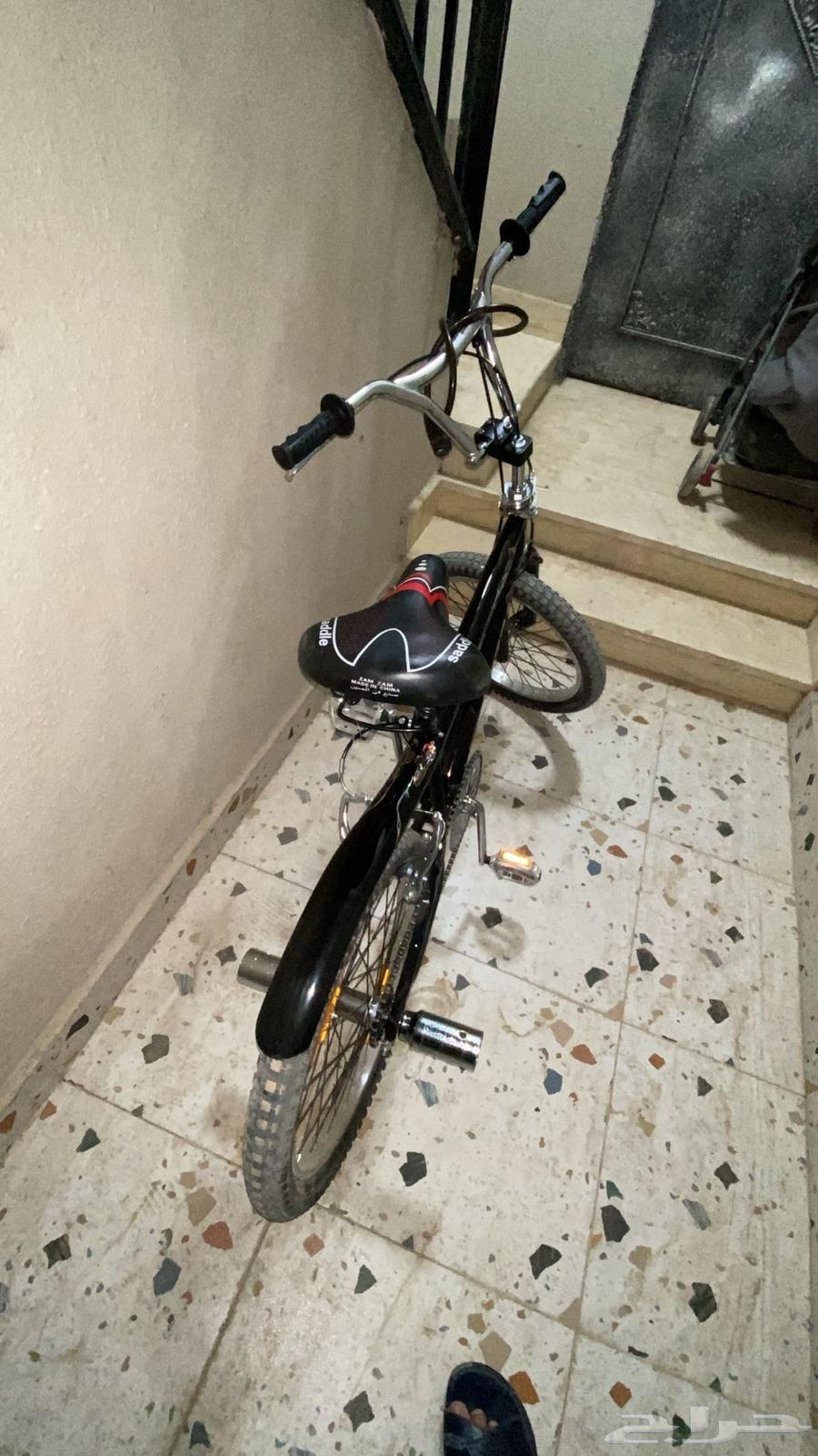 سيكل كوبرا جديد على الشرط64448421031553111