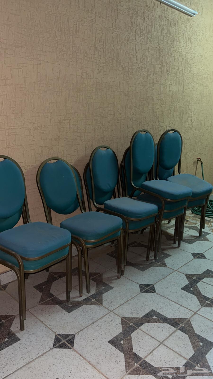 Chairs, about 14 chairs, each chair for 10 riyals64442966169219110