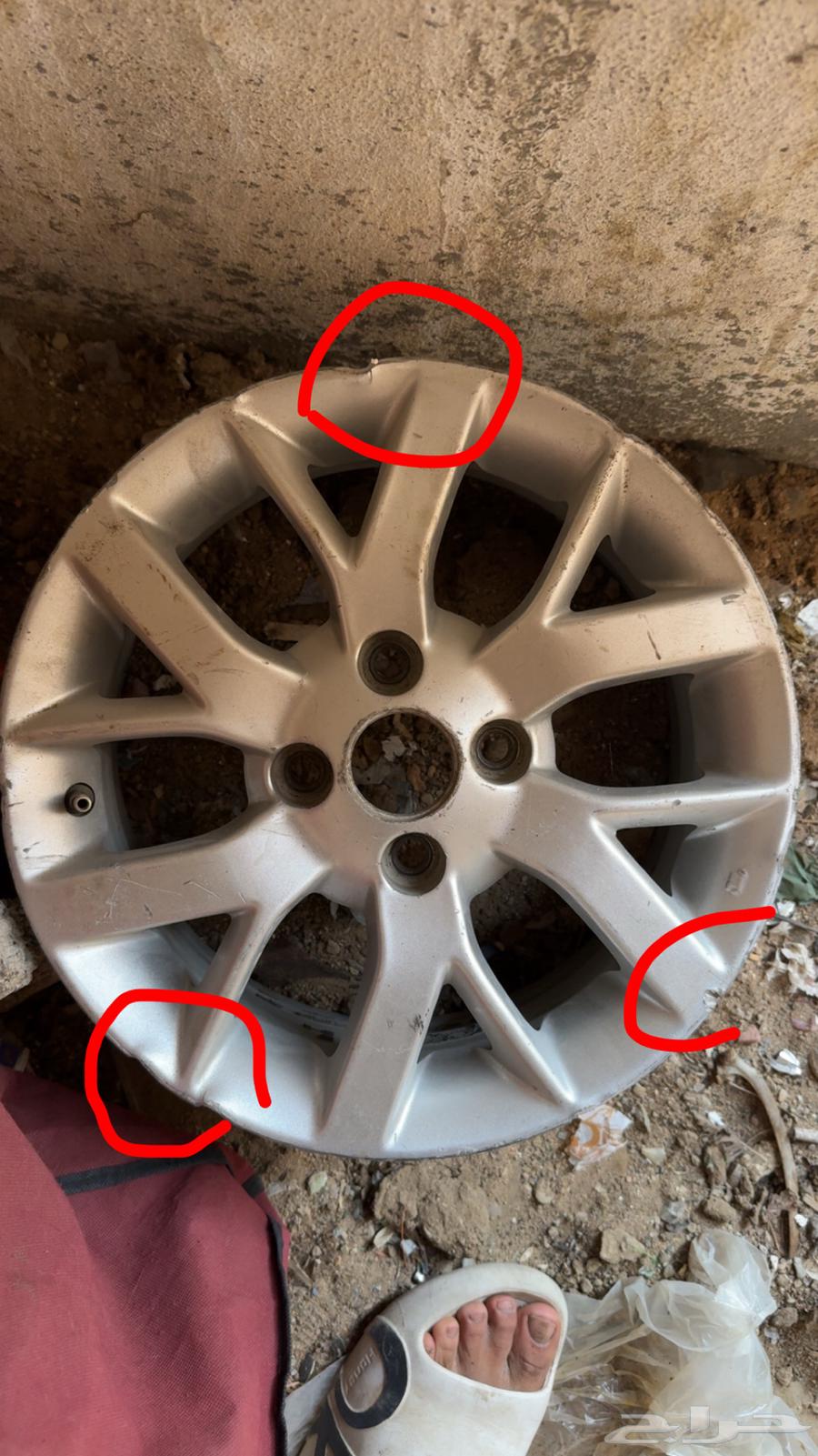 جنوط صني فل كامل64609361368835112