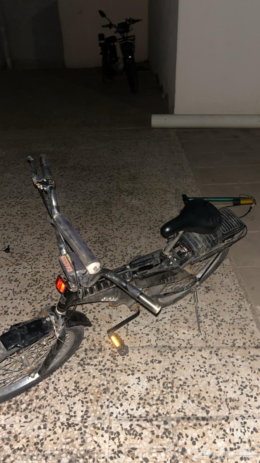 سيكل رامبو مقاس 20 جديد كرت . الموقع صبيا64448553910275110