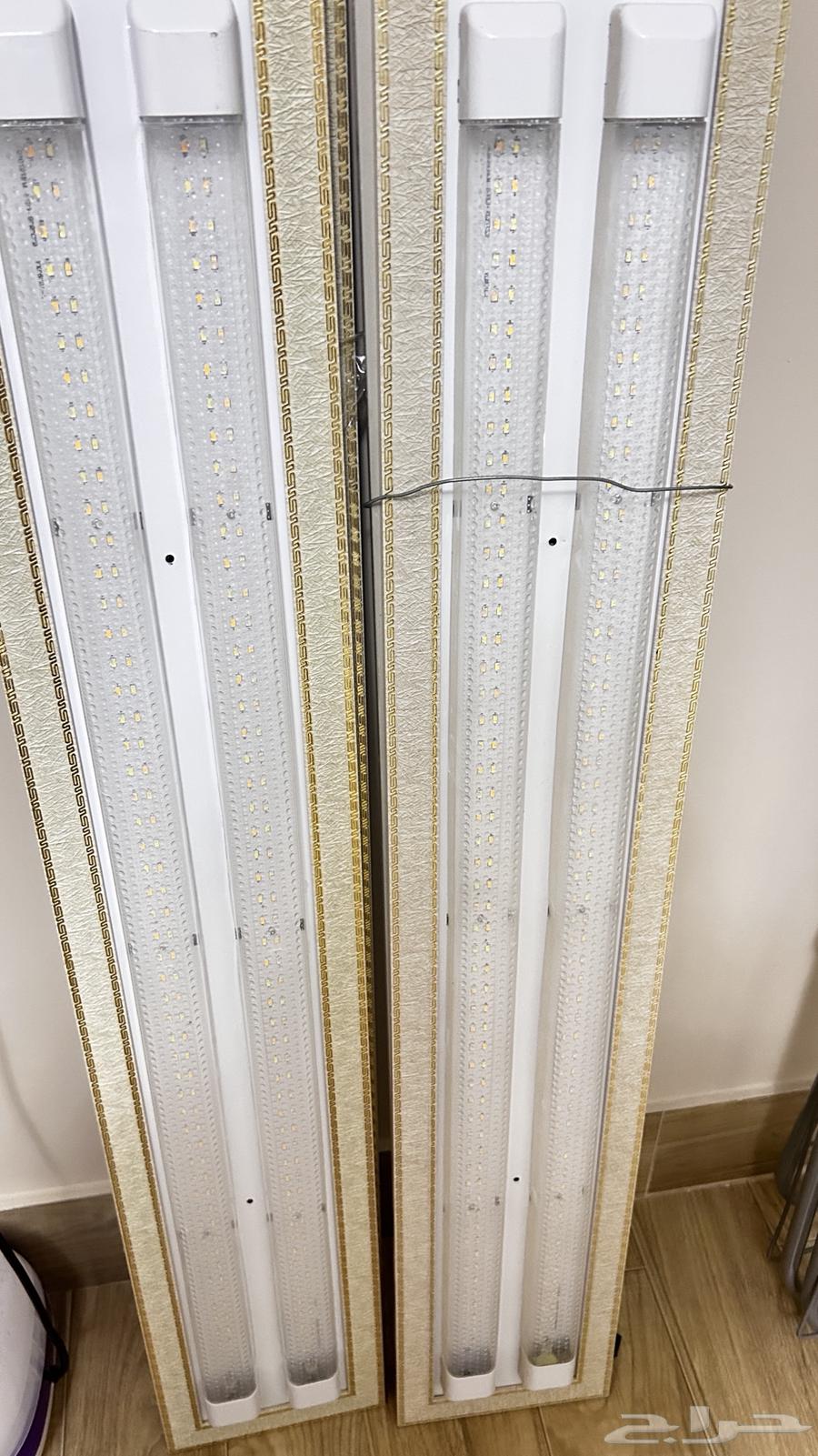 لمبات للبيع64443789624833111