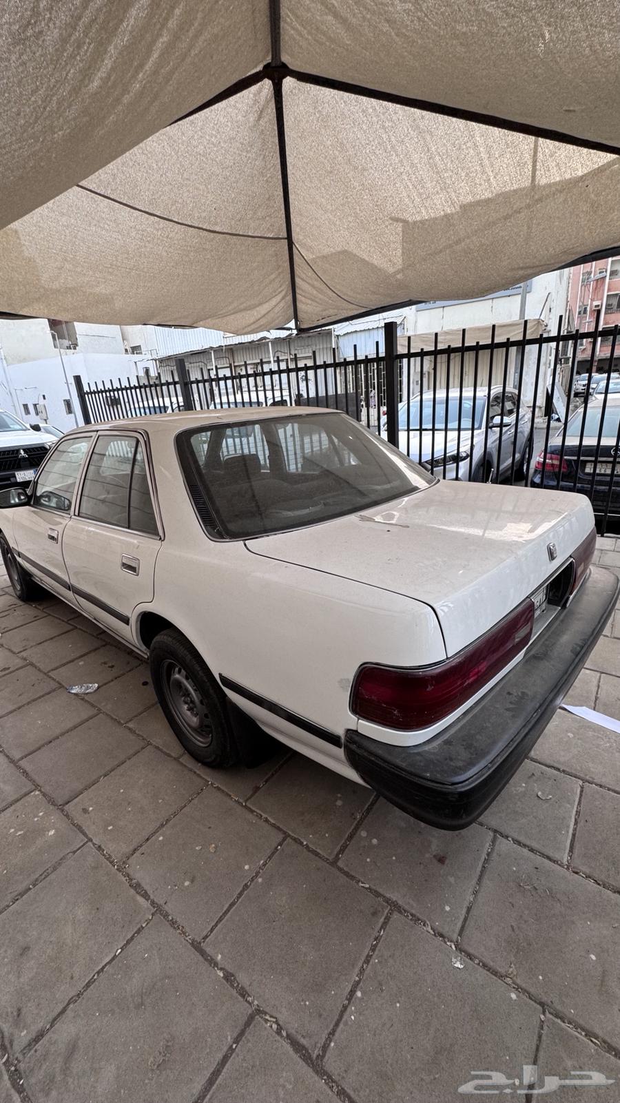 كرسيدا 96 للبيع اكس ال64607147287939112