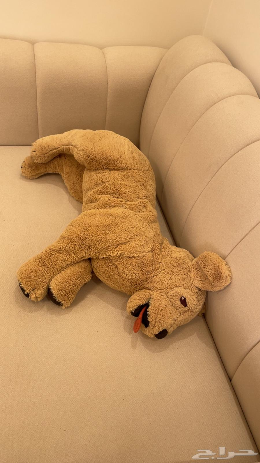 دميه عدد 3ب10064415585804547113