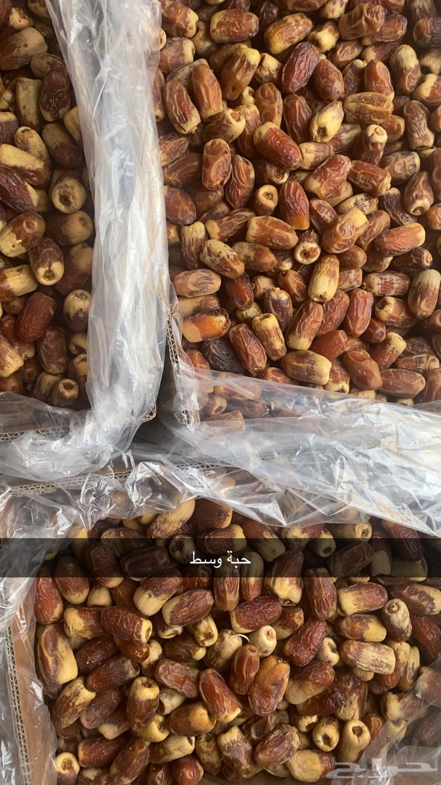 Luxurious and soft Sukkari dates64446781953539111