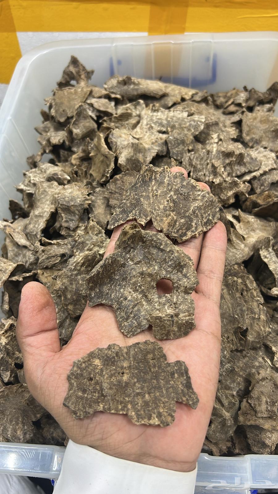 عود فيتنامي جار طبيعي جملة الجملة64444030058881110