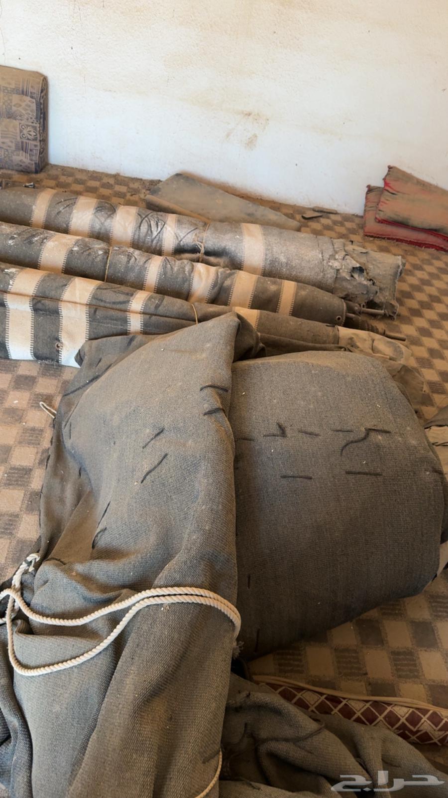 Two-pole tent, one-pole tent, and a canopy from Al-Qadi64447652671234111