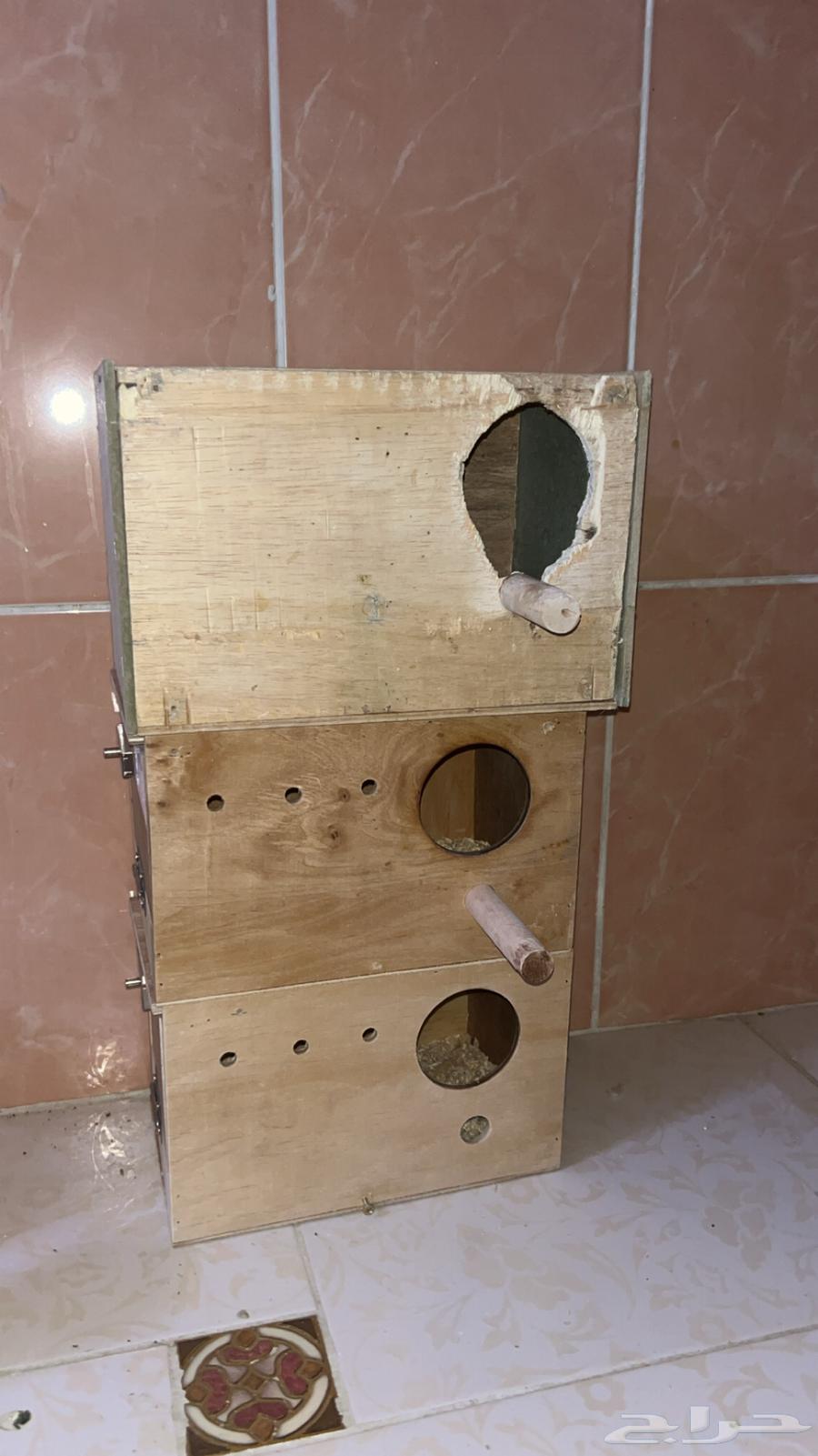 بياضات كروان و روز الحبه ب 1564446243453827110