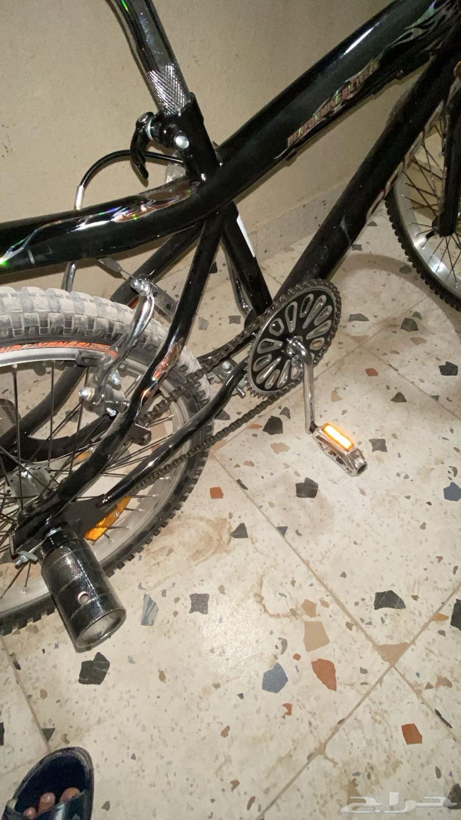 سيكل كوبرا جديد على الشرط64448421031553112