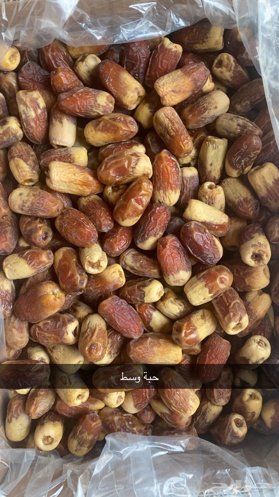 Luxurious and soft Sukkari dates64446781953539112