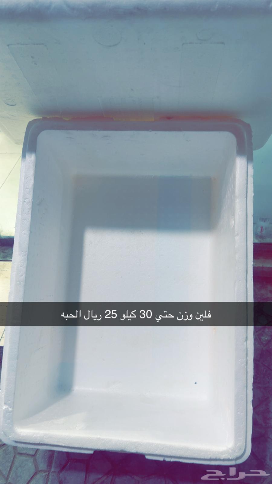 تلاجه للبيع - فلين للبيع64448275681025110