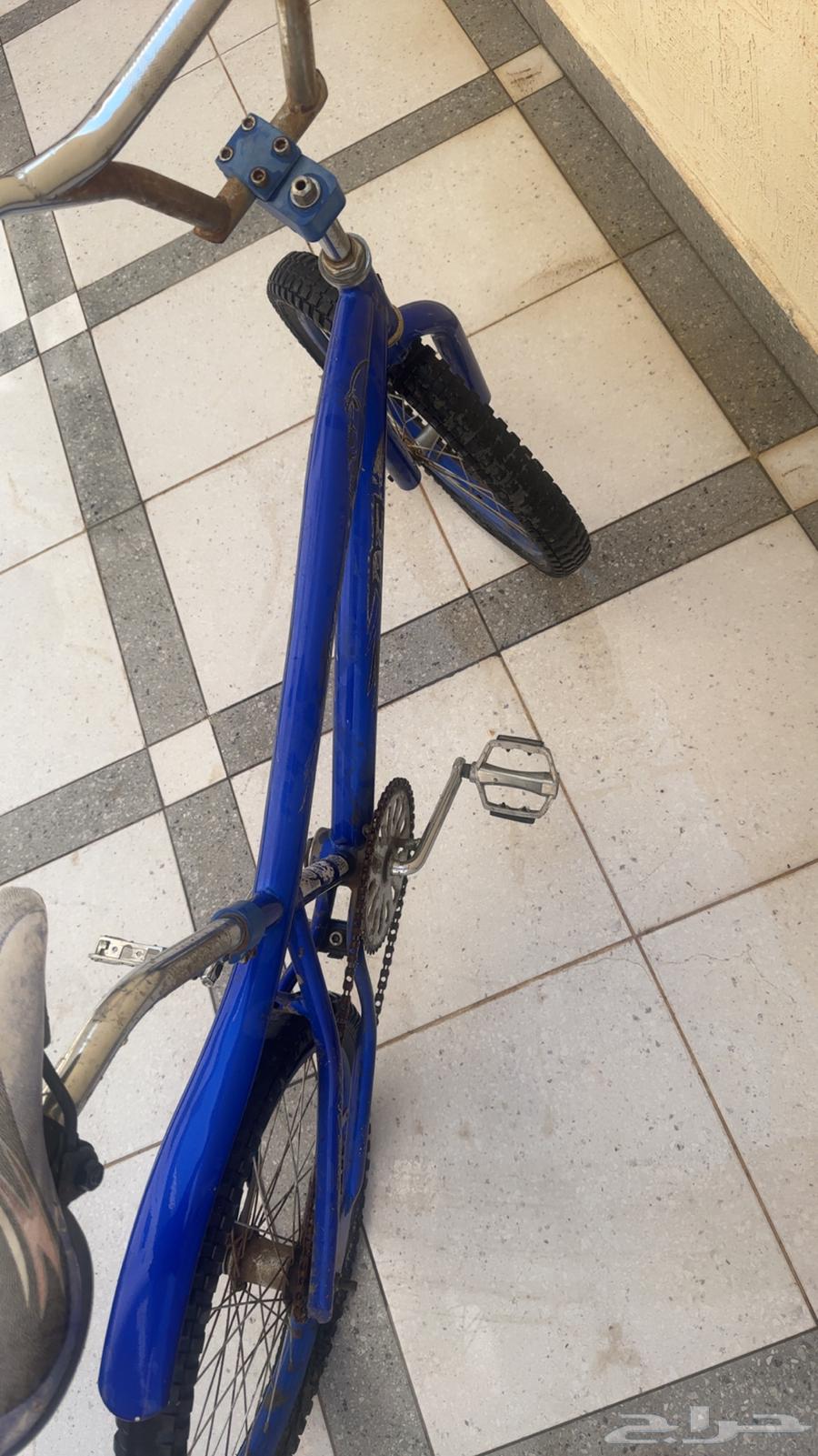 سيكل ازرق موديل 20 ما في أي شيء إلى الكفر مفقوع ونظيف جدا64449408652546112