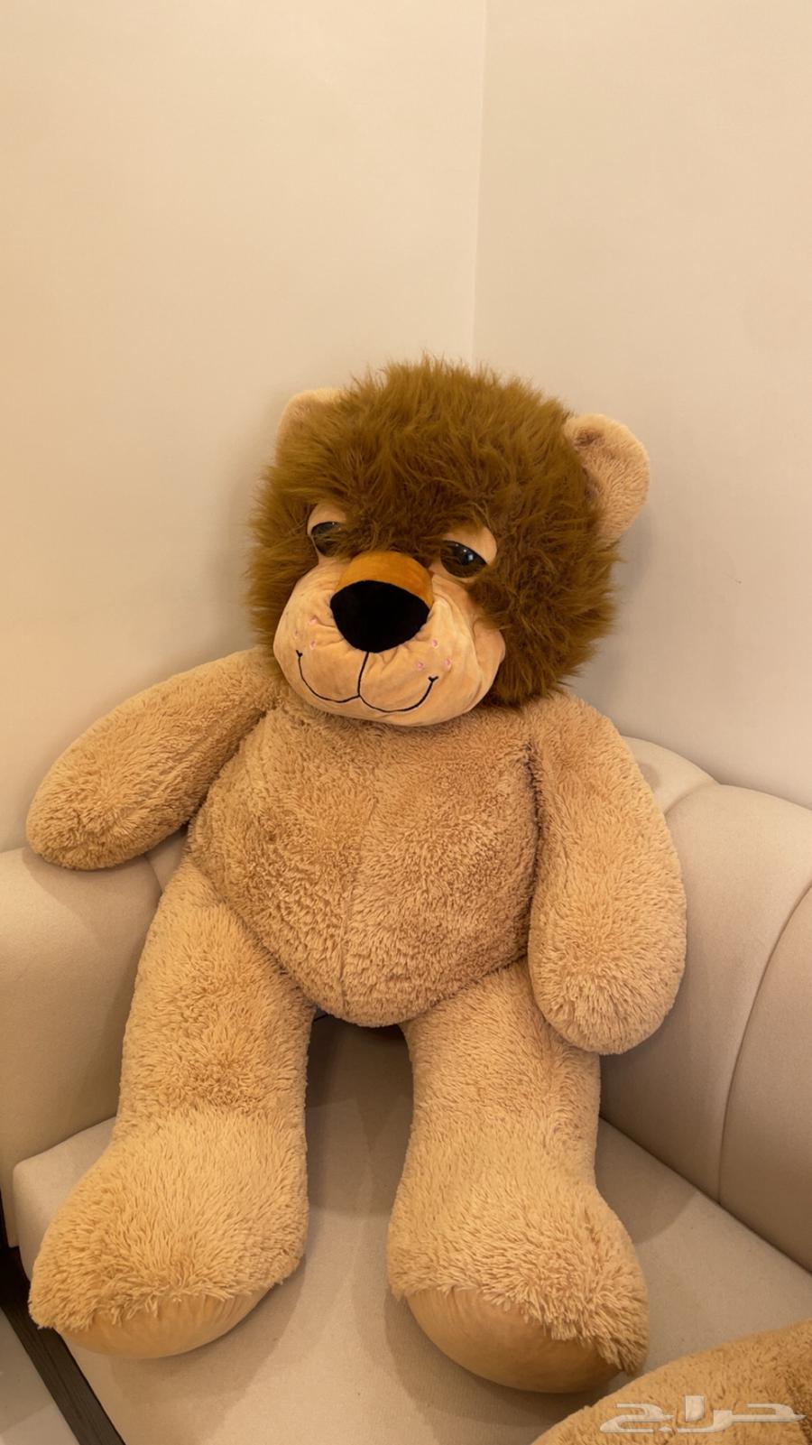 دميه عدد 3ب10064415585804547111