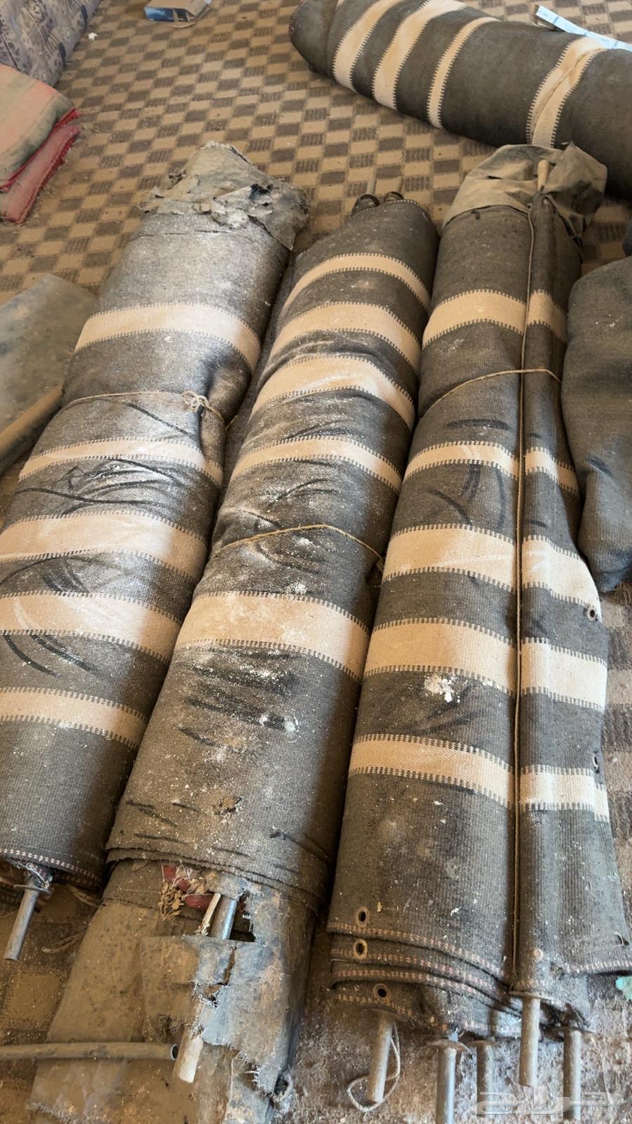 Two-pole tent, one-pole tent, and a canopy from Al-Qadi64447652671234112