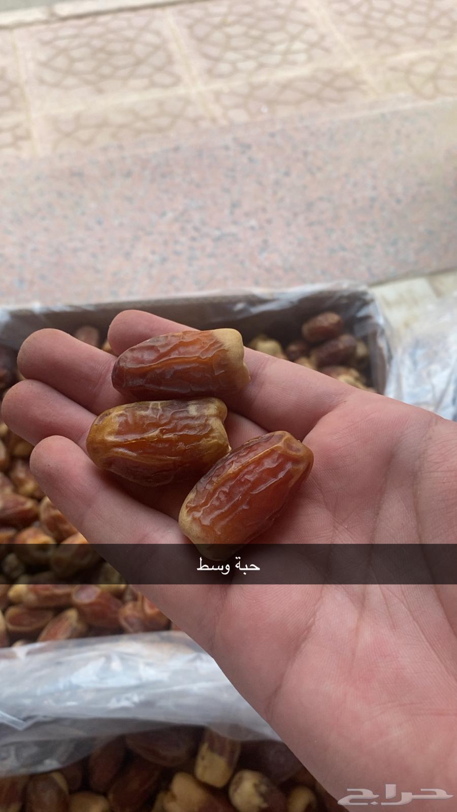 Luxurious and soft Sukkari dates64446781953539110