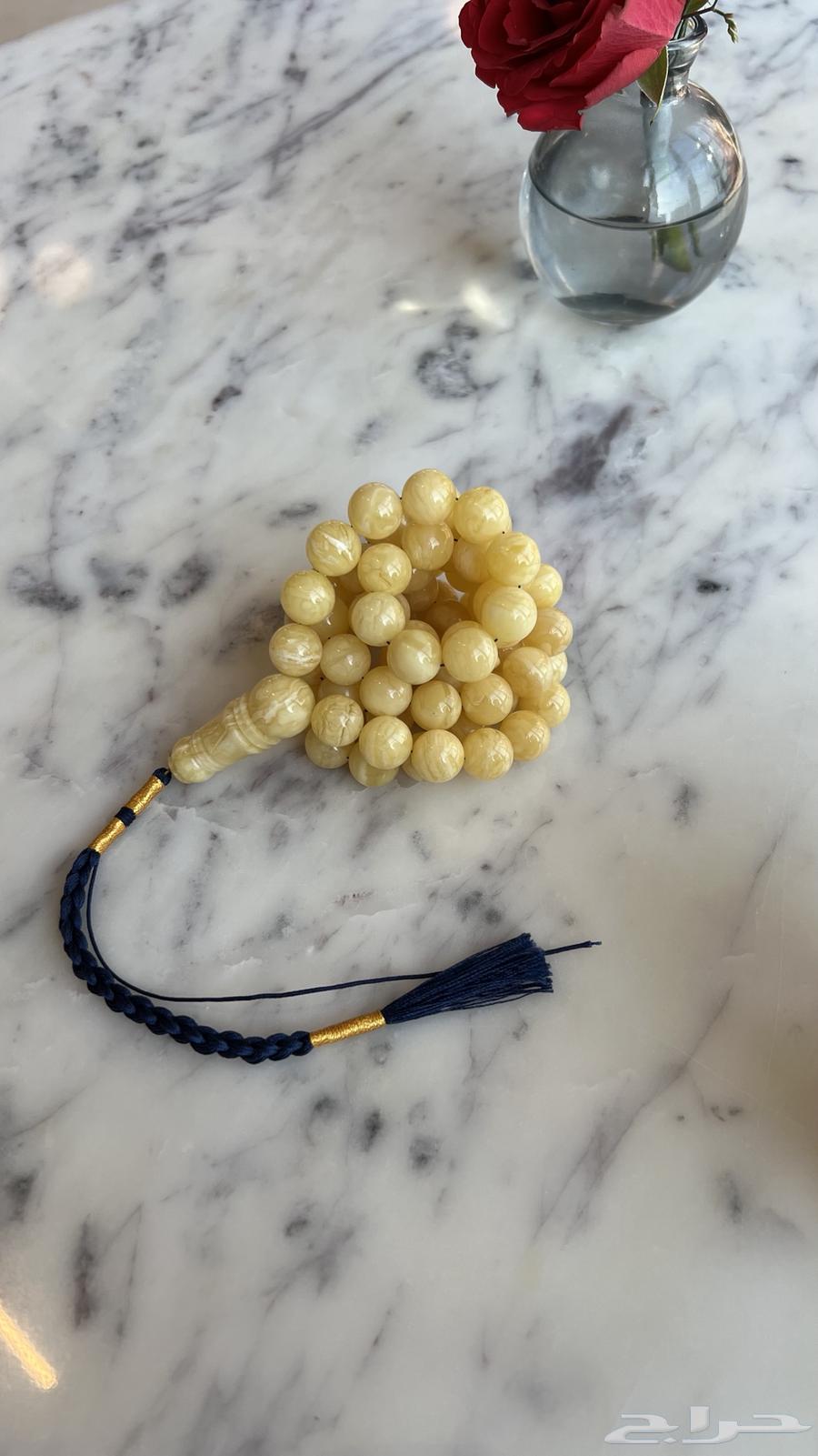 Amber Misba7 Meshaghal64443668858627110