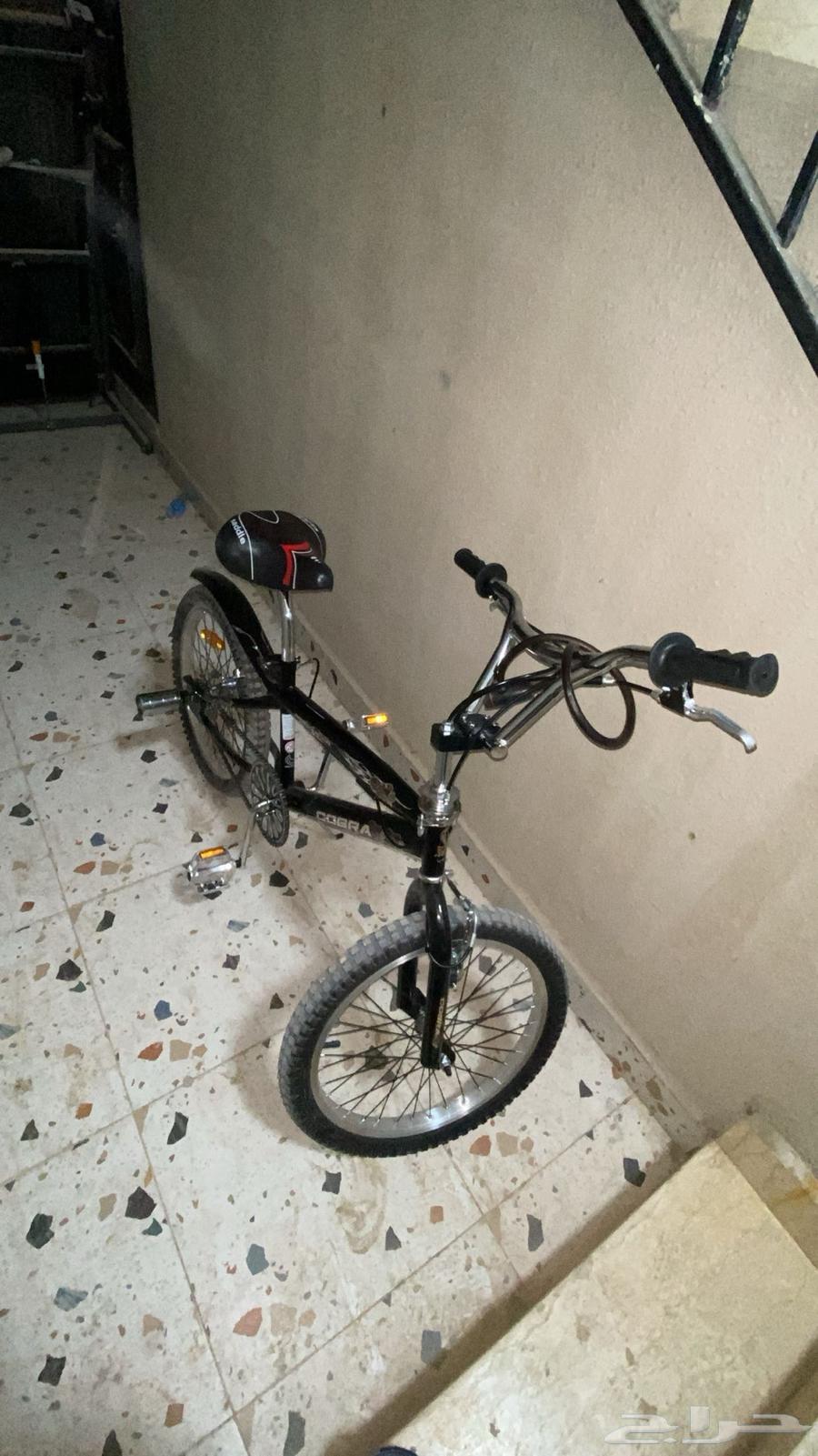 سيكل كوبرا جديد على الشرط64448421031553110